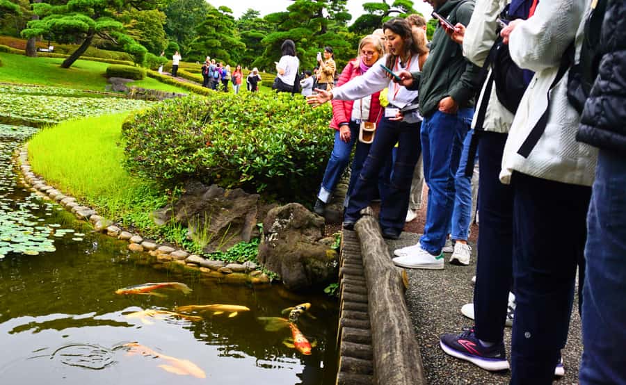 Tokyo: Imperial Palace Japanese History Walking Tour - Walking Toward Otemon Gate, Where the Story Gets Its Shape
