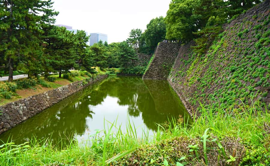 Tokyo: Imperial Palace Japanese History Walking Tour - Bamboo Forest Atmosphere and Royal Koi Fish Photos