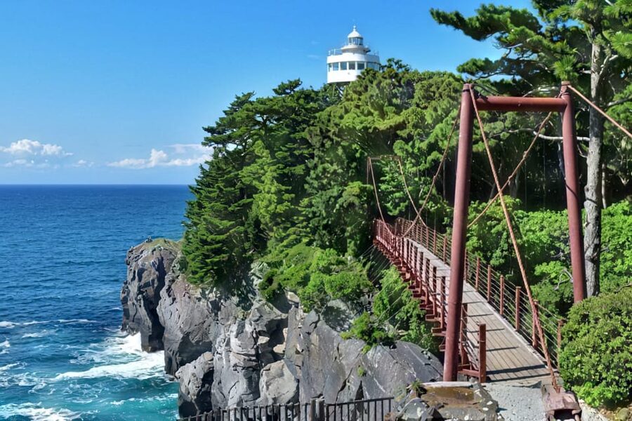 Tokyo:Izu Penisula Train Mt Omuro, Capybara Sightseeing Trip - Izu Cactus Park and Capybaras: Plant Lovers, Animal Fans, and Photo Time