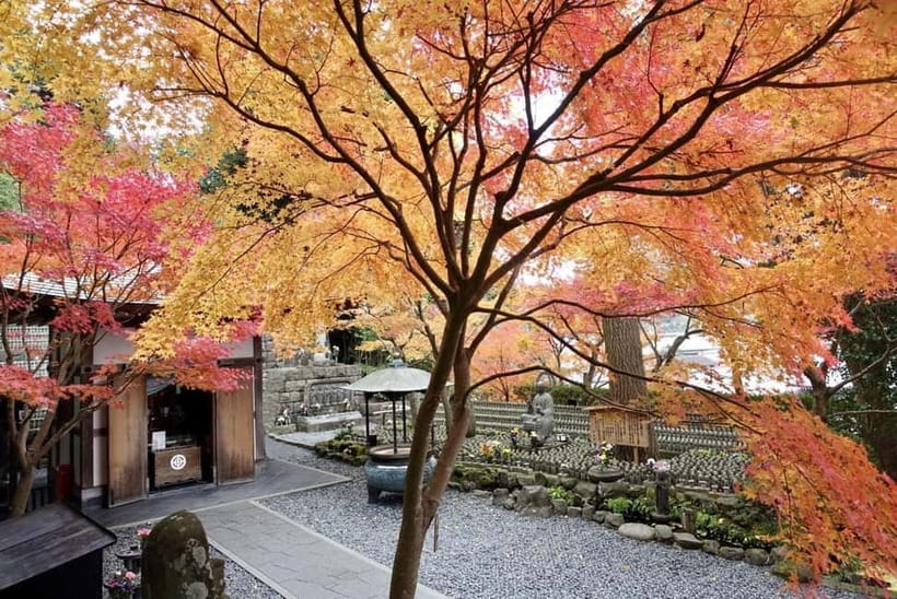 Tokyo: Kamakura & Enoshima Day Trip including Temple Tickets - Why Kamakura and Enoshima Work So Well in One Day