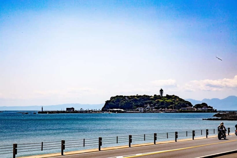 Tokyo: Kamakura & Enoshima Day Trip including Temple Tickets - Getting Started in Shinjuku: Meeting Points and Staying On Time