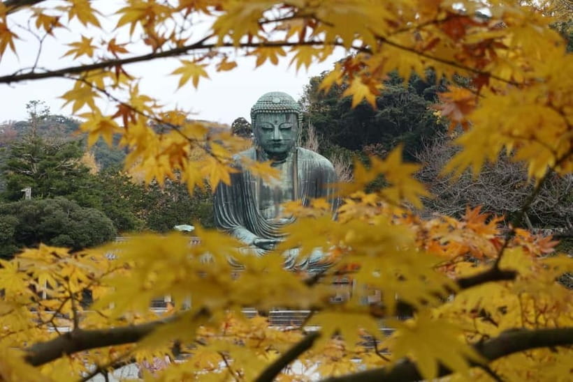 Tokyo: Kamakura & Enoshima Day Trip including Temple Tickets - Tsurugaoka Hachimangu: The Big Shrine Stop That Sets the Tone