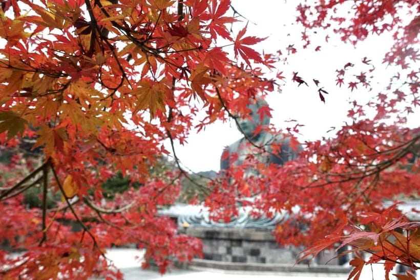 Tokyo: Kamakura & Enoshima Day Trip including Temple Tickets - Kōtoku-in and the Great Buddha: National Treasure, Up Close, and Inside Access