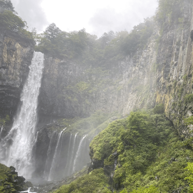 Tokyo: Luxury Nikko Private 1 Day Tour Low Price Guaranteed - Private Tokyo to Nikko timing that actually works
