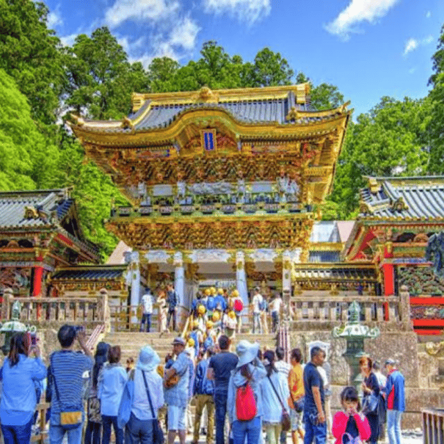 Tokyo: Luxury Nikko Private 1 Day Tour Low Price Guaranteed - Lake Chuzenji: a scenic break with guided time