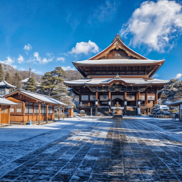 Tokyo: Luxury Nikko Private 1 Day Tour Low Price Guaranteed - The car and comforts: Toyota Crown style, with real extras