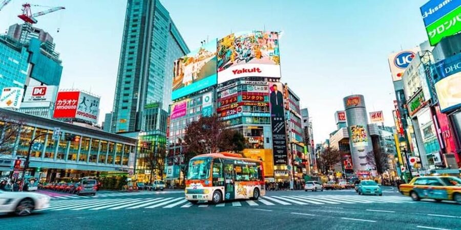 Tokyo:Luxury Private Tour with English-Speaking driver - Imperial Palace East Gardens and an Unusual Street-Food Window