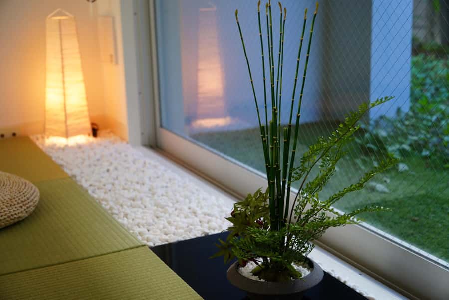 Tokyo: Matcha and Kimono Experience - Teaism and tea ceremony, taught as culture you can use