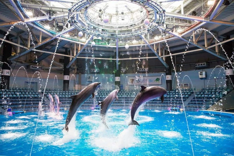 Tokyo: Maxell Aqua Park Shinagawa Direct Entry Ticket - Maxell Aqua Park Shinagawa, a queue-light indoor aquarium near Shinagawa Station
