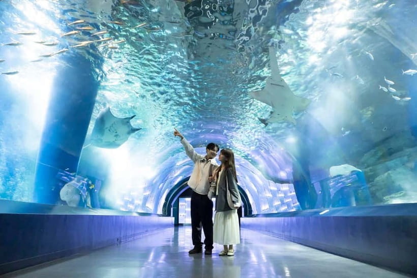 Tokyo: Maxell Aqua Park Shinagawa Direct Entry Ticket - What is included, and what you should not count on