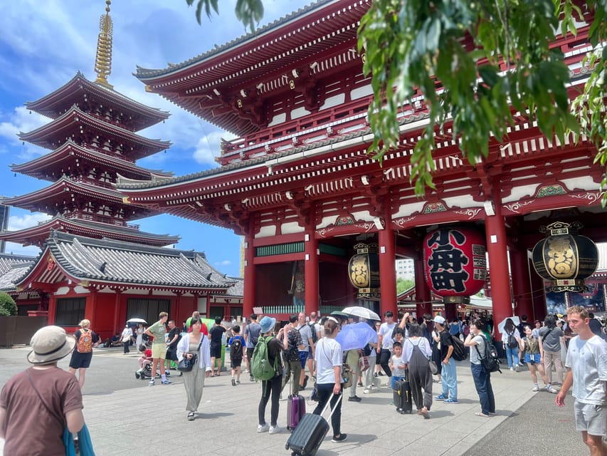Tokyo: Meiji Jingu Shrine and Shinto Culture Walking Tour - Key things I think you will notice right away