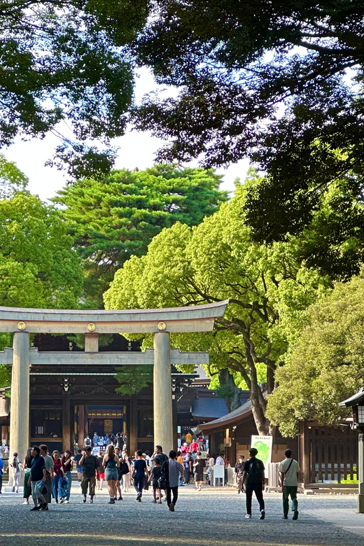Tokyo: Meiji Jingu Shrine and Shinto Culture Walking Tour - Inside Meiji Shrine for guided sightseeing and real etiquette practice