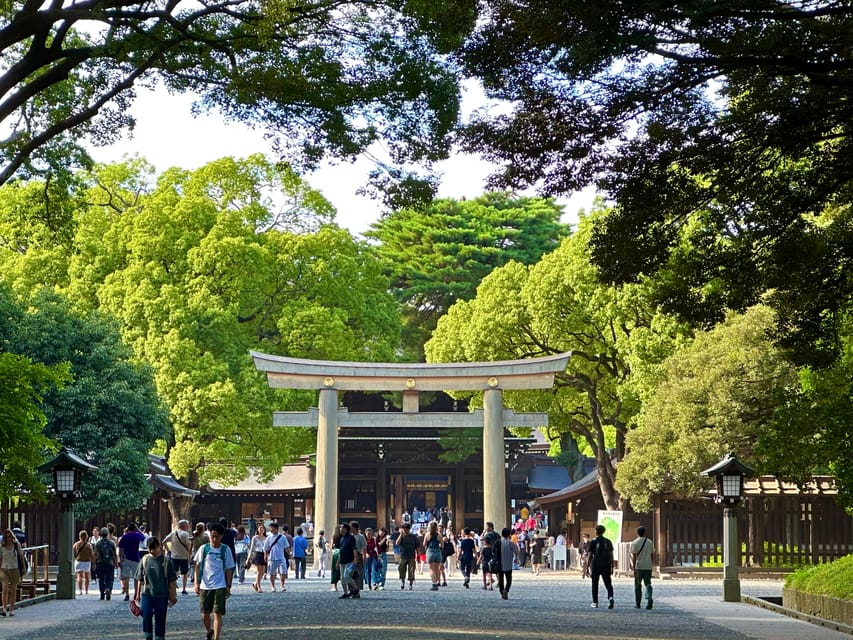 Tokyo: Meiji Jingu Shrine and Shinto Culture Walking Tour - The forest path experience: why the 100,000 trees change how you see the shrine