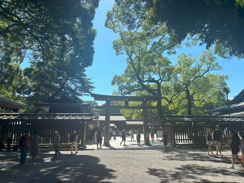 Tokyo: Meiji Jingu, Yoyogi Park & Takeshita Street Tour - Omotesando Avenue: the stylish finish with boutiques and modern architecture