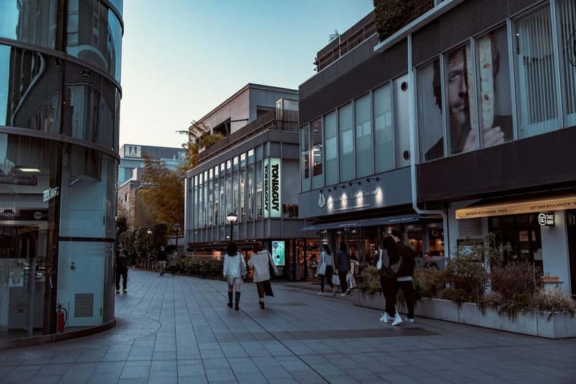 Tokyo: Meiji Jingu, Yoyogi Park & Takeshita Street Tour - Tips to make the 3-hour plan feel easy