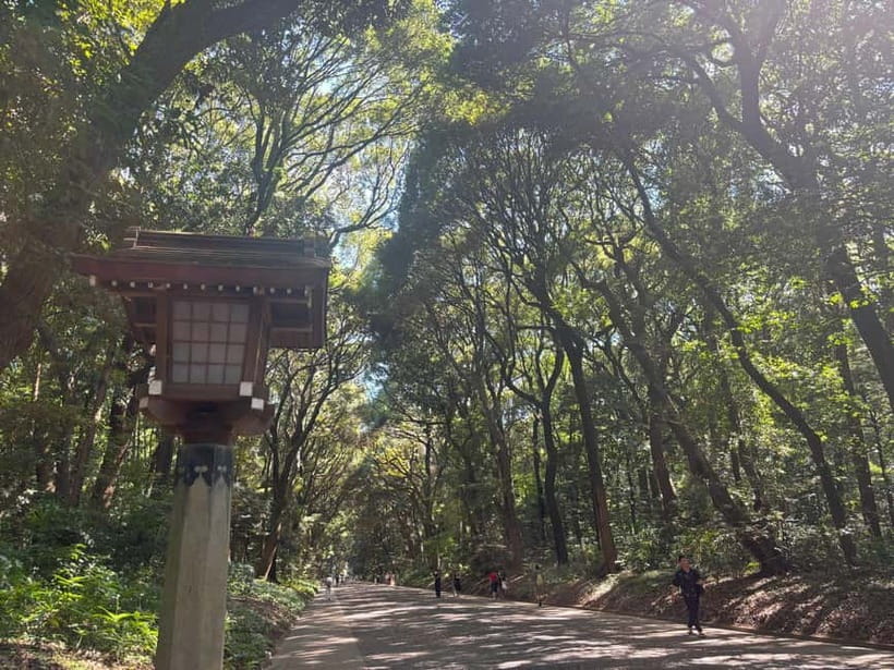Tokyo: Meiji Jingu, Yoyogi Park & Takeshita Street Tour - Meiji Jingu Shrine: the forest calm, and what to watch for