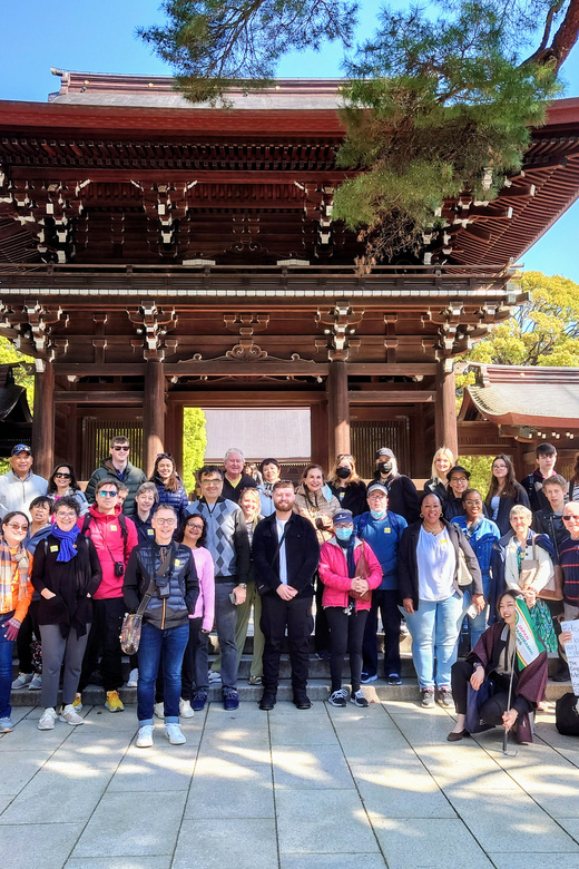 Tokyo: Meiji Shrine, Asakusa, Skytree Bus Tour and Cruise - Odaiba and Tokyo Bay Cruise: Rainbow Bridge and a Plan B