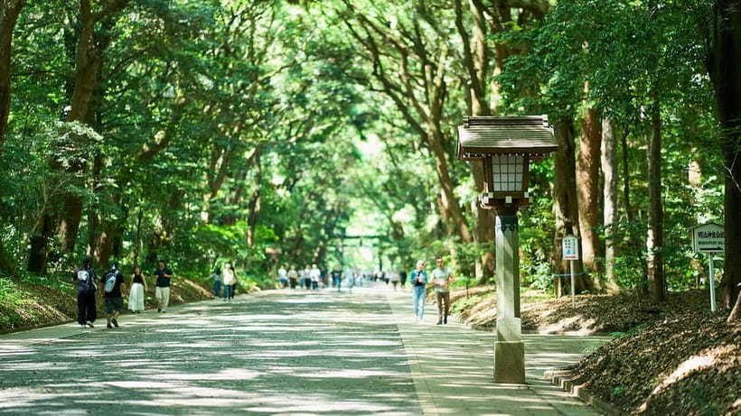 Tokyo: Meiji Shrine Walking Tour — Shinto & Imperial System - Price and timing: good value for a short visit