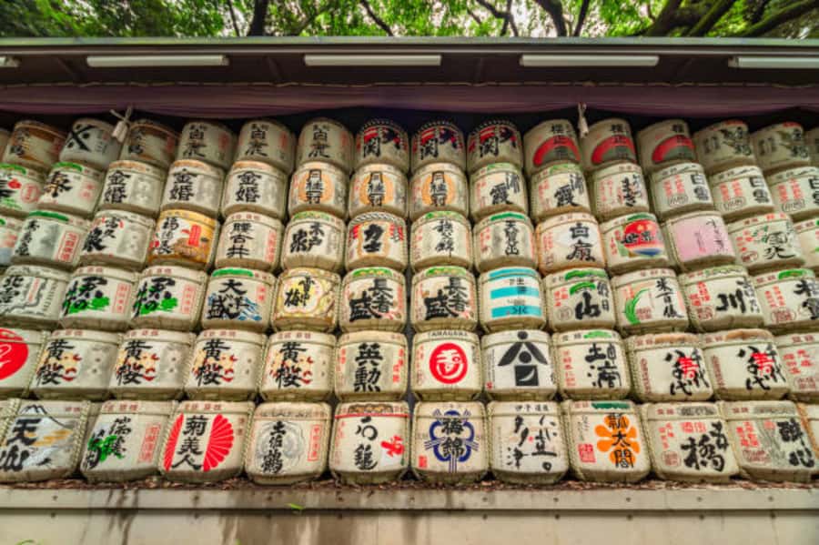 Tokyo: Meiji Shrine Walking Tour with Local Guide - The torii gate and the approach: etiquette that changes how you walk