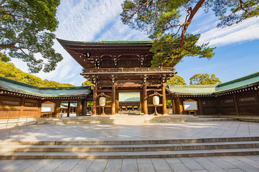 Tokyo: Meiji Shrine Walking Tour with Local Guide - The sacred forest paths: serenity you can feel, not just hear about