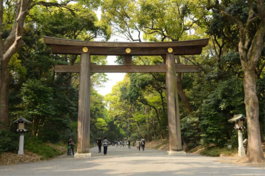 Tokyo: Meiji Shrine Walking Tour with Local Guide - Price and value: why $20 feels fair for what you get