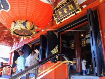 Morning Sightseeing Bus Tour