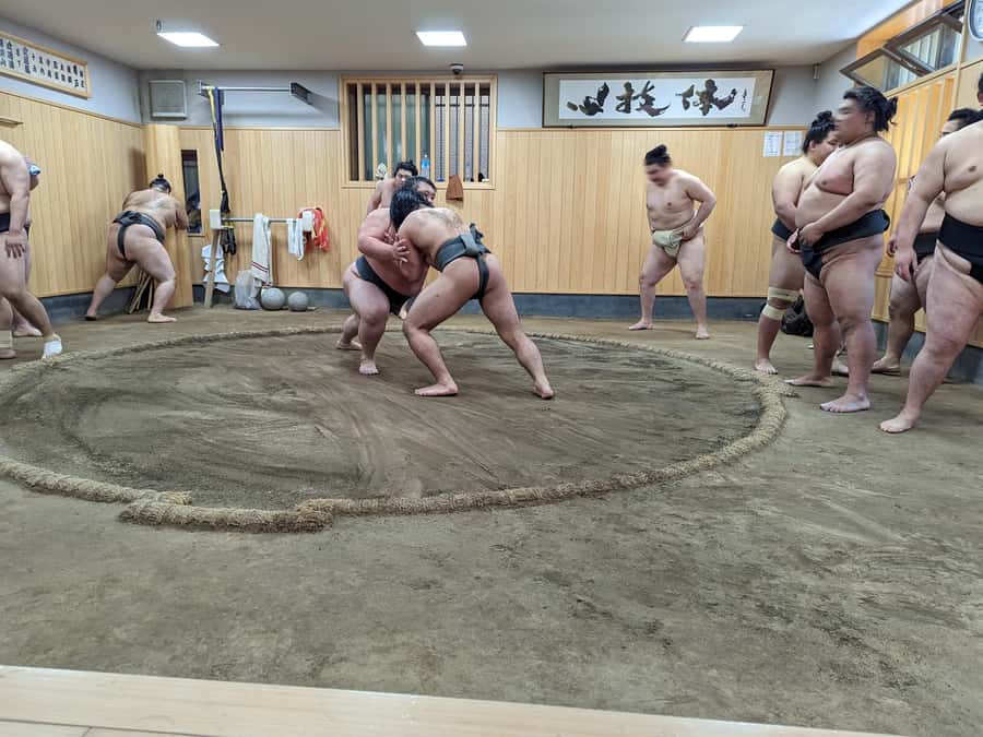 Tokyo: Morning Sumo Practice Viewing - A real sumo stable, starting at Hanami Zaka Square (Tokyo Skytree)