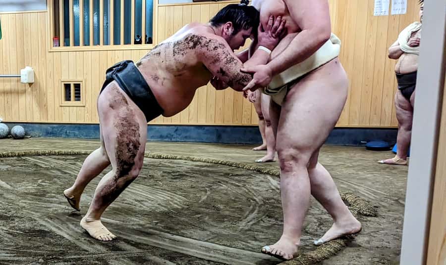 Tokyo: Morning Sumo Practice Viewing - How stable etiquette and floor-sitting shape the experience