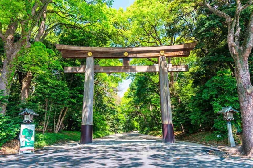 Tokyo Morning Tour: Meiji Shrine, Asakusa & Fish Market - Tsukiji Outer Market for 110 minutes: sushi and sashimi with context