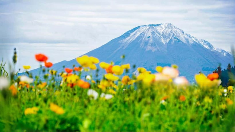 Tokyo: Mount Fuji 5th Station & Onsen Day Trip - Key highlights that matter