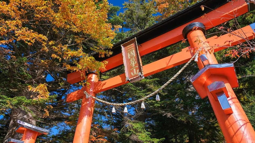 Tokyo: Mount Fuji 5th Station & Onsen Day Trip - Price and value: what you pay for around $50