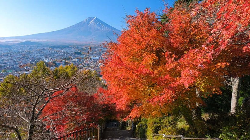 Tokyo: Mount Fuji 5th Station & Onsen Day Trip - Should you book this Mt. Fuji 5th Station and onsen day trip?
