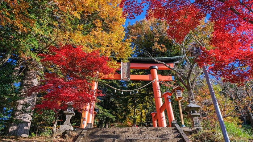 Tokyo: Mount Fuji 5th Station & Onsen Day Trip - FAQ