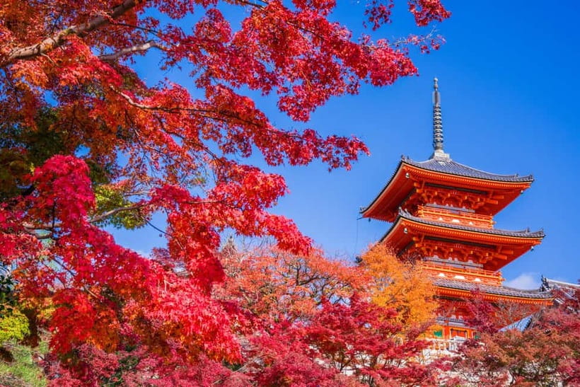 Tokyo: Mount Fuji and Hakone Full Day Tour with Ramen Making - Price and value: what $94 buys when you add up the moving parts