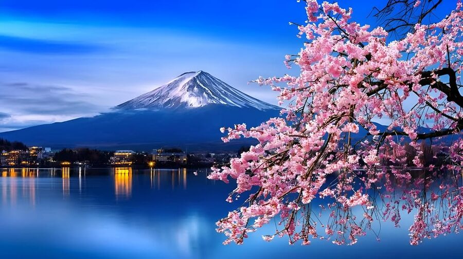Tokyo: Mount Fuji and Hakone private sightseeing tour - Key Things to Know Before You Go