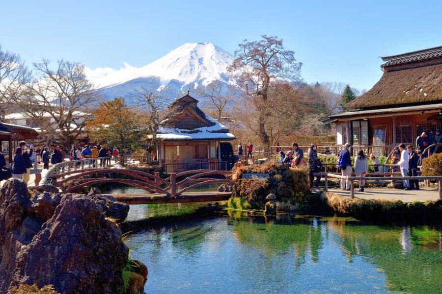 Tokyo: Mount Fuji Day Tour with Optional Buddha & Lake Ashi - Why this Fuji day tour works from Tokyo