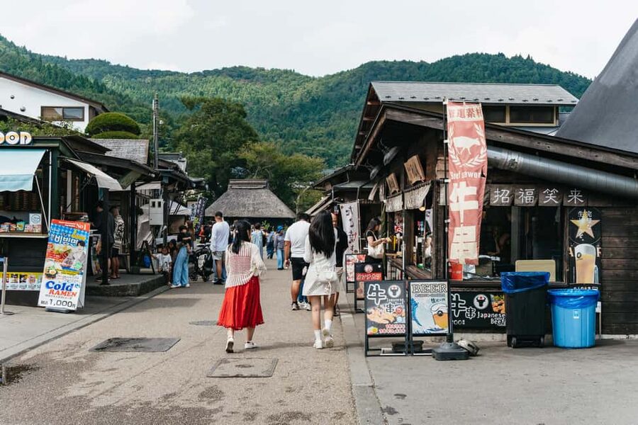Tokyo: Mount Fuji Day Tour with Optional Buddha & Lake Ashi - Food, shopping, and the cash rule that catches people