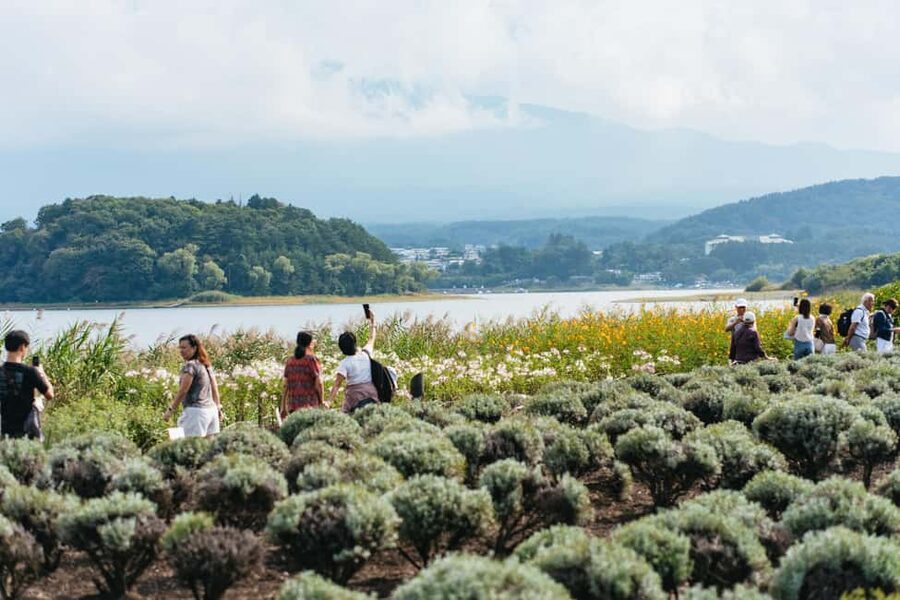 Tokyo: Mount Fuji Day Tour with Optional Buddha & Lake Ashi - Price and value: what $50 includes and what it does not