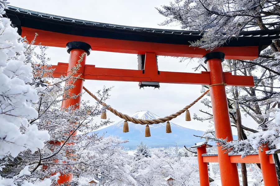 Tokyo: Mount Fuji Day Trip with Scenic & Local Stops - Key moments worth planning for