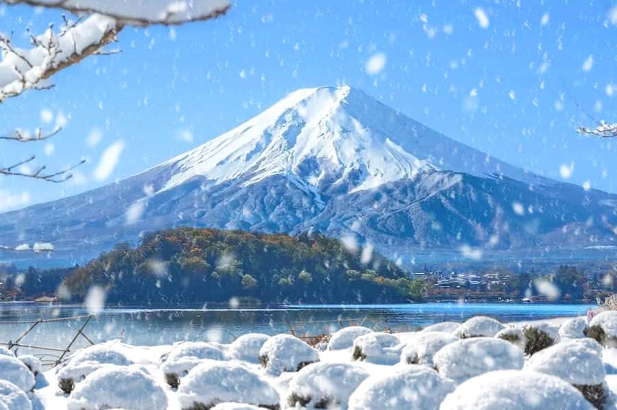 Tokyo: Mount Fuji Day Trip with Scenic & Local Stops - What to bring, plus the rules that keep the day moving