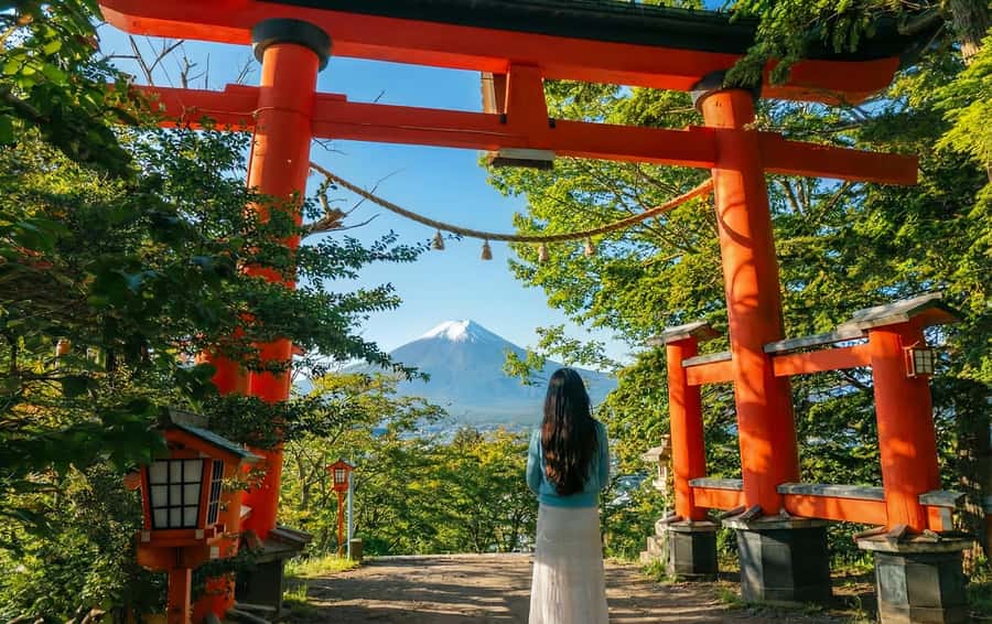 Tokyo: Mount Fuji Day Trip with Scenic & Local Stops - Price and logistics for a Tokyo-to-Fuji day trip around $44