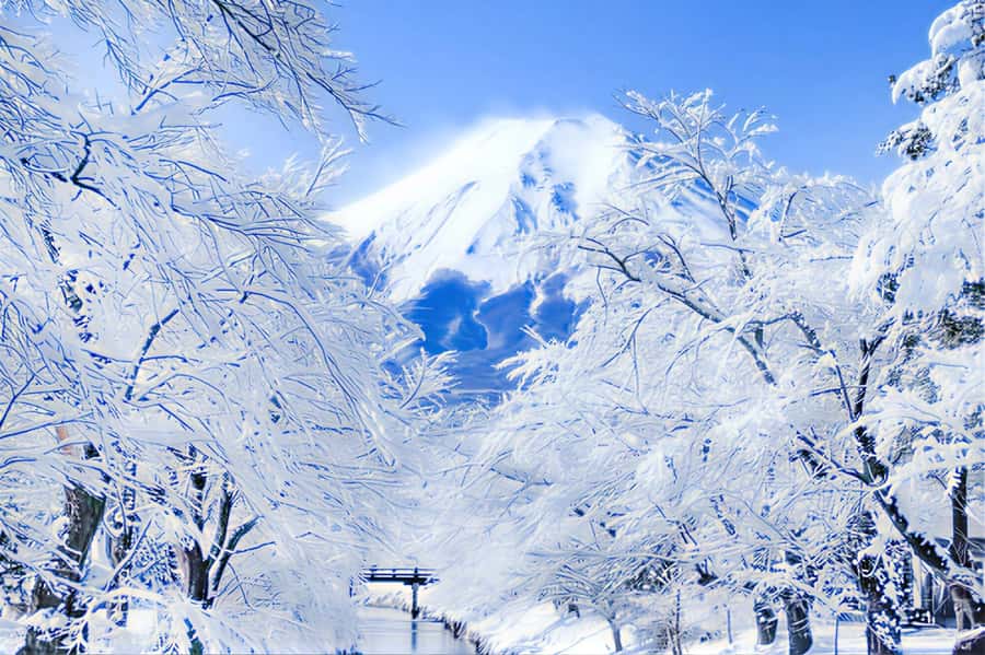 Tokyo: Mount Fuji Day Trip with Scenic & Local Stops - Oshino Hakkai: spring ponds, koi-filled village walks, and clear water