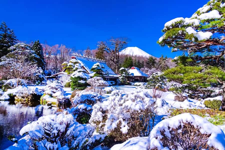 Tokyo: Mount Fuji Day Trip with Scenic & Local Stops - Lake Kawaguchi: your best shot at mirror-like Fuji reflections