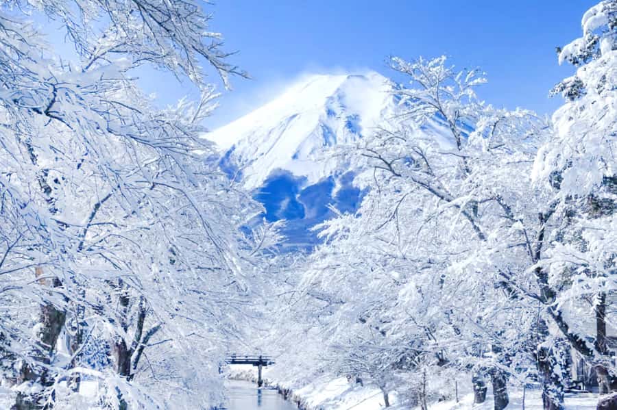Tokyo: Mount Fuji Day Trip with Scenic & Local Stops - Fuji Lawson Store: the blue-white logo stop and Fuji snack tips