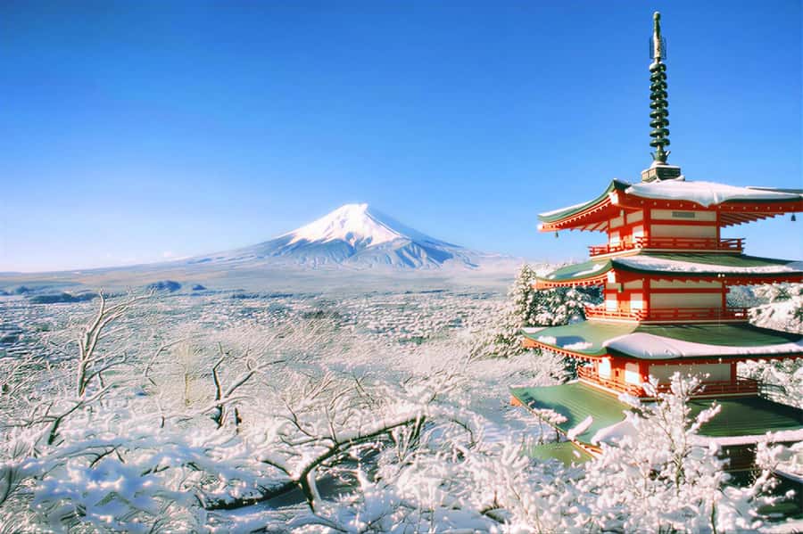 Tokyo: Mount Fuji Day Trip with Scenic & Local Stops - The pace: why it feels “fast” but still worth it