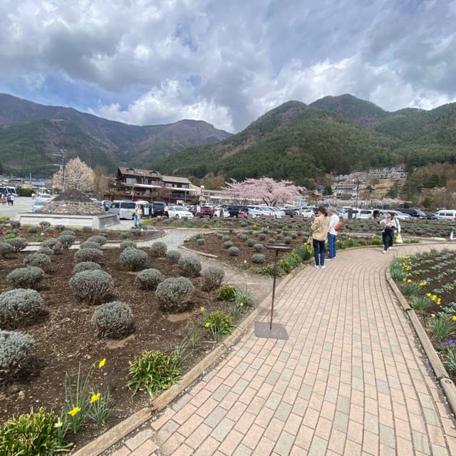 Tokyo: Mount Fuji & Hakone Private Car Day Tour Lowest Price - The Real Appeal: A Private Day Between Tokyo, Fuji, and Hakone