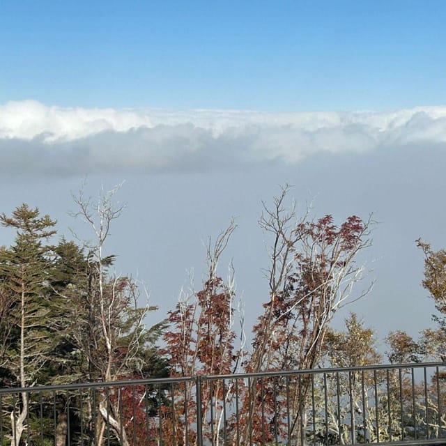Tokyo: Mount Fuji & Hakone Private Car Day Tour Lowest Price - Oshino Hakkai and Lake Kawaguchi: The Fuji Water Stops