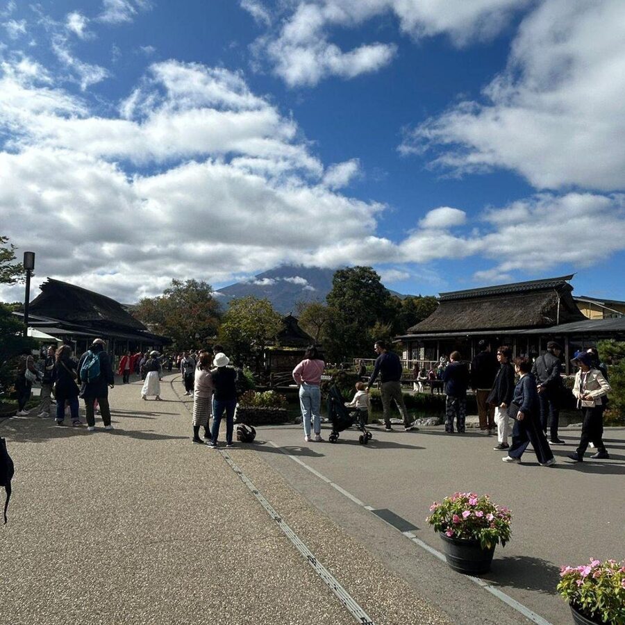Tokyo: Mount Fuji & Hakone Private Car Day Tour Lowest Price - The Hakone Half of the Day: Owakudani, Lake Ashi, and Hakone Shrine