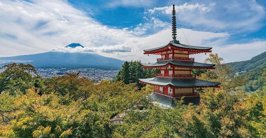 Tokyo: Mount Fuji & Hakone Private Customized Full Day Tour - Starting From Tokyo: Pickup Choices and Realistic Timing