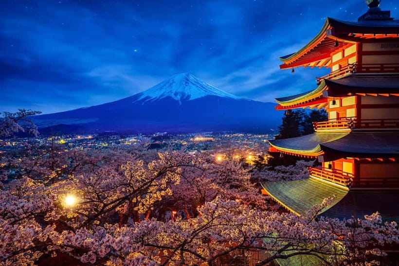 Tokyo: Mount Fuji & Hakone Private Tour with Guide - Price and value: what $761 buys for up to 5